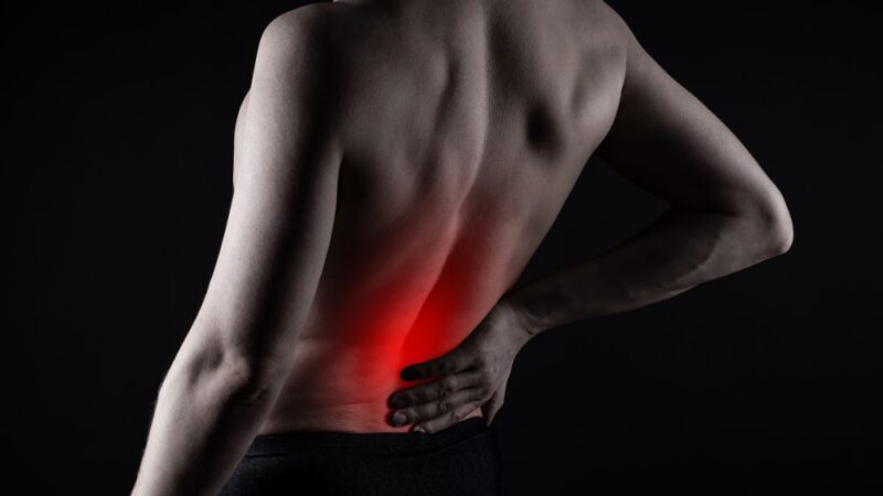 Các vị trí đau lưng thường gặp