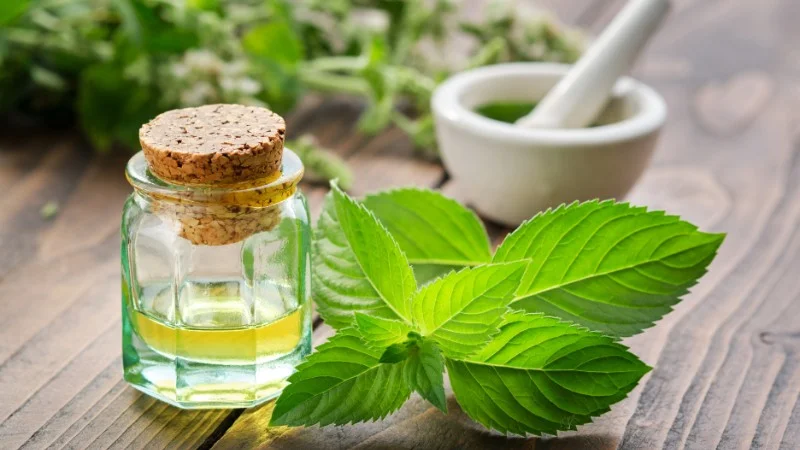 Đuổi gián trong tủ quần áo với 12 cách vô cùng đơn giản 32 Sử dụng các lại tinh dầu