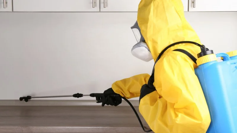 Đuổi gián trong tủ quần áo với 12 cách vô cùng đơn giản 23 Đuổi gián bằng máy khử
