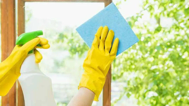 Tổng hợp 6 cách đuổi muỗi bằng chanh nhất định phải thử 15 Dùng nước chanh để lau nhà