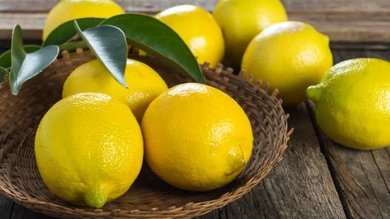 Tổng hợp 6 cách đuổi muỗi bằng chanh nhất định phải thử 9 Vì sao chanh có thể đuổi muỗi?