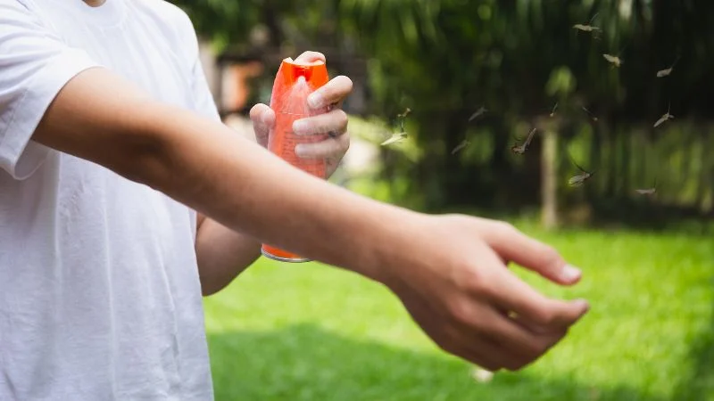 5 cách diệt ruồi cống trong nhà vệ sinh triệt để và an toàn 15 Cách diệt ruồi cống bằng thuốc, bình xịt