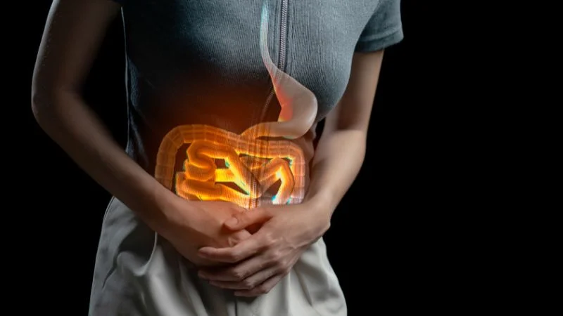 5 cách diệt ruồi cống trong nhà vệ sinh triệt để và an toàn 12 Tác hại của ruồi cống trong nhà là nguyên nhân gây lây lan dịch bệnh như dịch ta gây tiêu chảy...