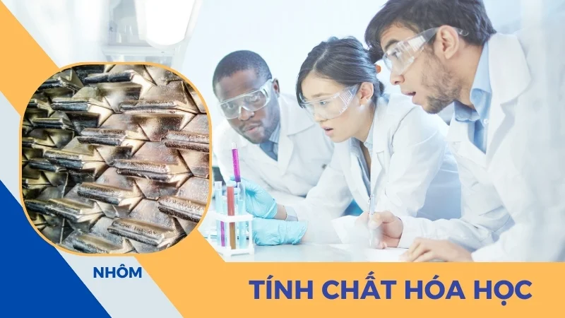 Tính chất hóa học