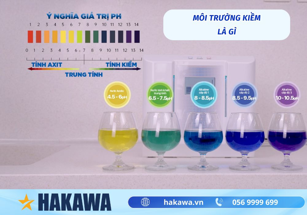 môi trường kiềm là gì