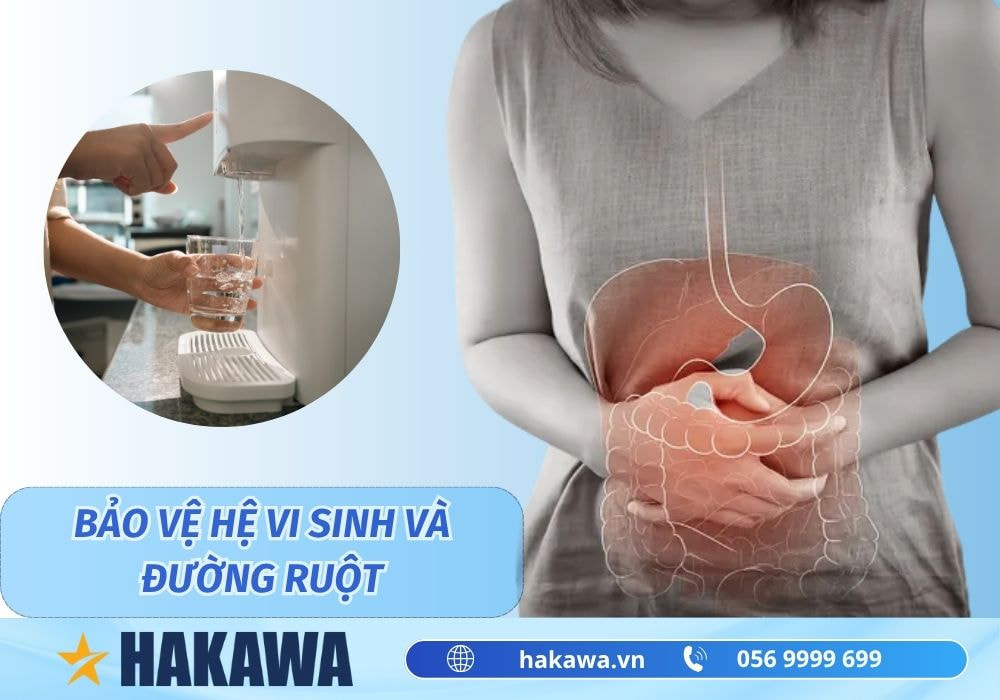 Nước tinh khiết giúp bảo vệ hệ vi sinh đường ruột