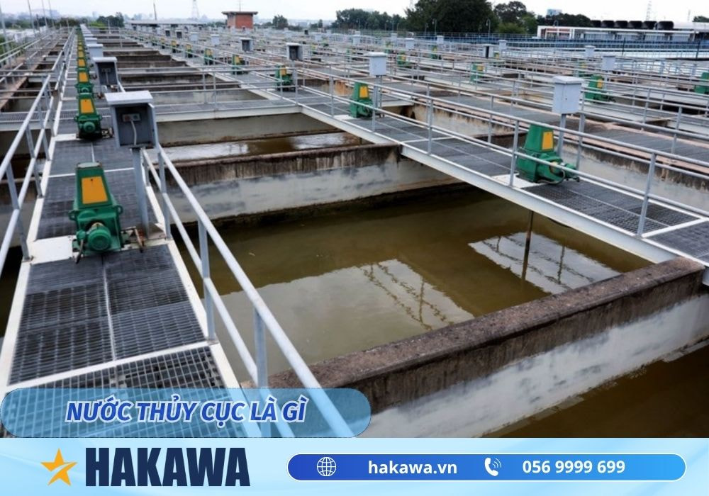 Nước thủy cục là gì