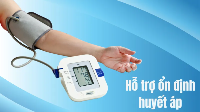 Hỗ trợ ổn định huyết áp