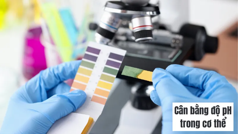 Nước ion giúp cân bằng độ pH trong cơ thể