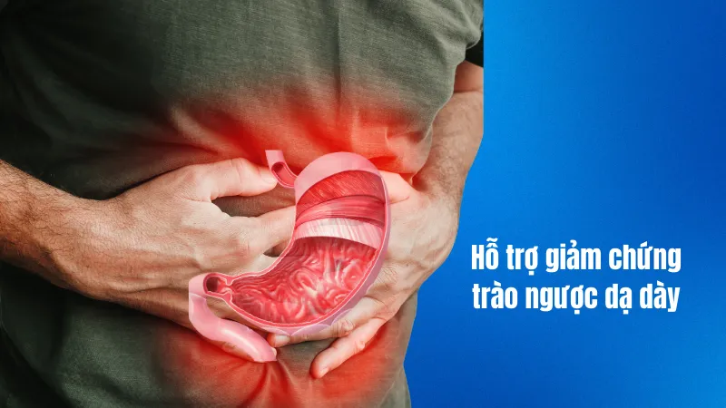 Hỗ trợ hạn chế trào ngược dạ dày